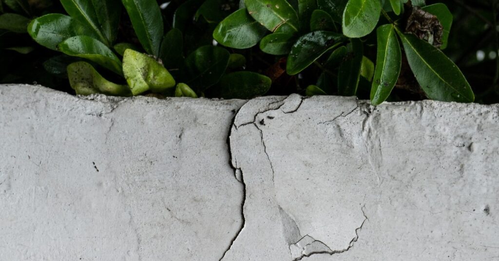 Repair Your Damaged Concrete