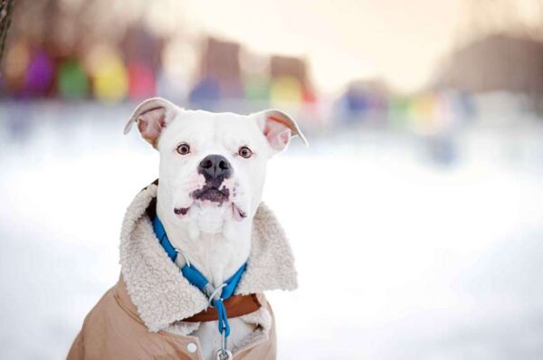 stronger than winter, phoscrete, concrete